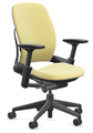 Steelcase Leap - Extended Cylinder