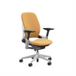 Steelcase Leap - Extended Cylinder